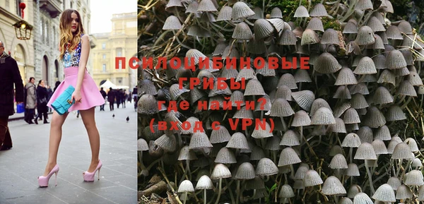 apvp Магас