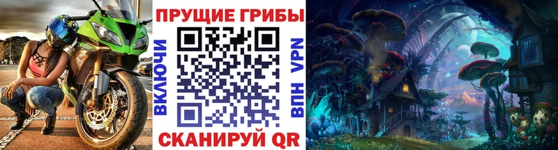 Псилоцибиновые грибы прущие грибы  купить наркотики сайты  Лесосибирск 