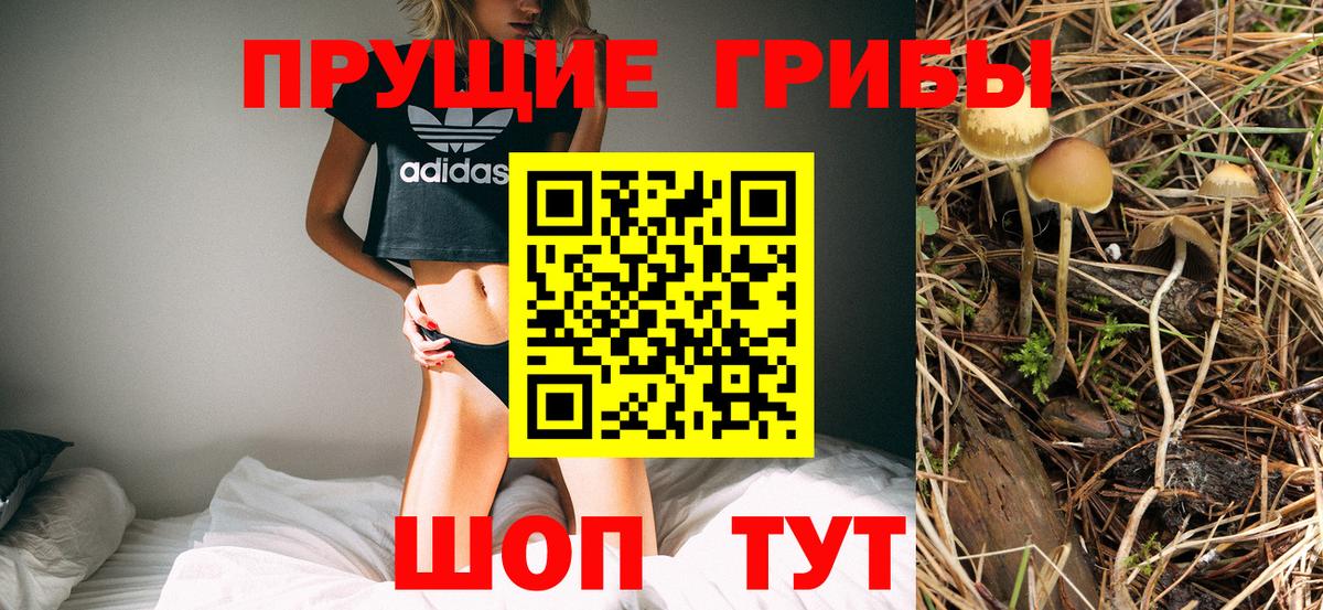 Лесосибирск  Галлюциногенные грибы ЛСД  Вход с VPN 