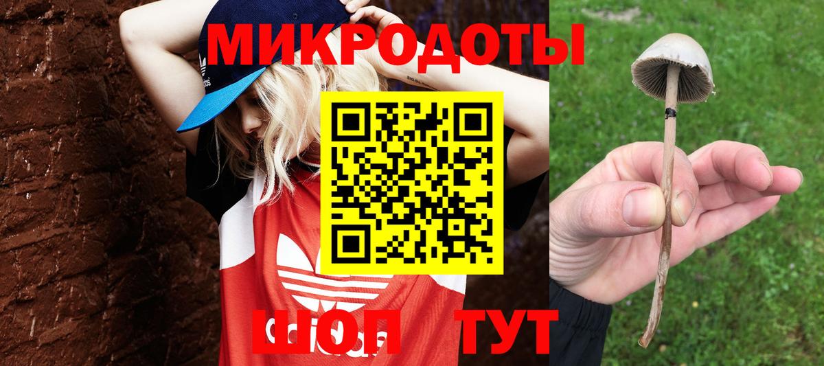 Галлюциногенные грибы Magic Shrooms Лесосибирск